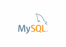Steffen Tanzmann MySQL/Maria DB Entwickler